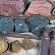 Sedgwick Museum of Earth Sciences