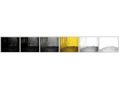 Jonathan Calm, Details of "Deer Chamber 3", 2013 archival pigment print 16 x 100 inches Edition of 5. Courtesy of LMAKprojects, NY