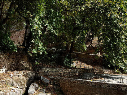 During the major festivals held at Delphi, students, academicians and artists from varied disciplines are offered a unique opportunity to take part in these fascinating festivals