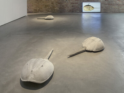 400 Million Years, Exhibition view. Courtesy of König Galerie
