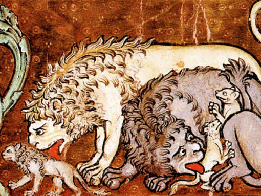 Il Leone nell'araldica