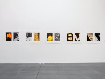 Ralph Gibson, Nature. Object, exhibition view. Courtesy of Parrish Art Museum