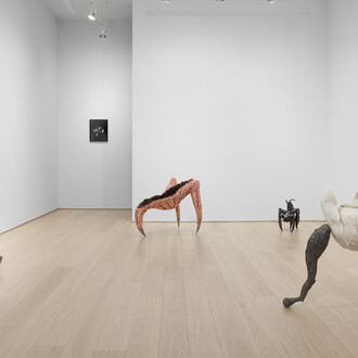 Various artists, Under the skin, exhibition view. Courtesy of Asya Geisberg Gallery