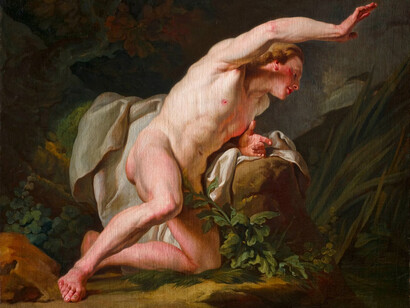 Nicolas-Bernard Lépicié, Narcissus, about 1771. Courtesy of the Art Institute of Chicago