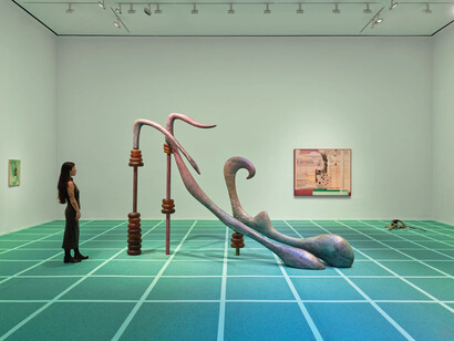 Camille Henrot, A number of things, exhibition view. Courtesy of Hauser & Wirth