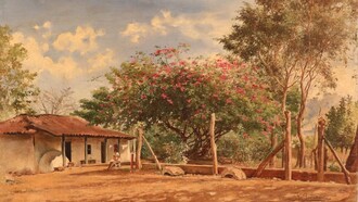 Tomás Povedano, Bougainvillea, sin fecha, óleo sobre tela, colección Museo de Arte Costarricense