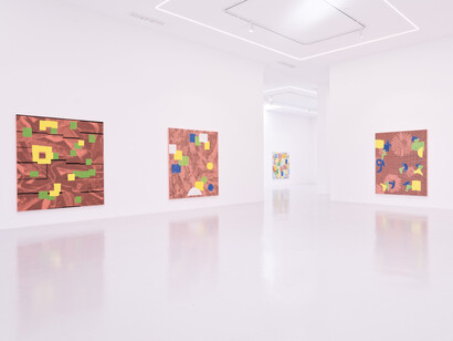 Yves Zurstrassen, Blooming, exhibition view. Courtesy of Ceysson and Bénétière Gallery