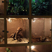 Regional Natural History Museum of Plovdiv