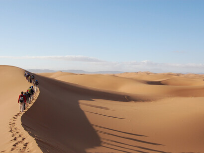 Certain sectors such as tourism and leisure are almost at a standstill