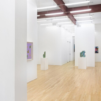 Abdolreza Aminlari, Border, exhibition view. Courtesy of Andrew Rafacz