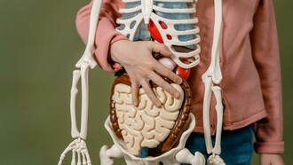 A child holding a skeleton model at stomach level