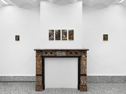 Lisa Ivory, Eyes of the landscape, exhibition view. Courtesy of Nino Mier Gallery