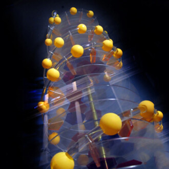 Tiempo y materia: laberintos de la evolución. Courtesy of Museo de La Plata