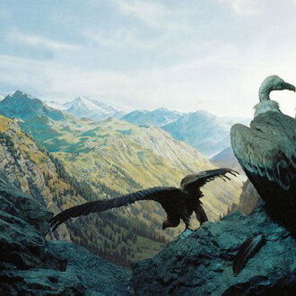 Habitats Diorama. Courtesy of Haus der Natur