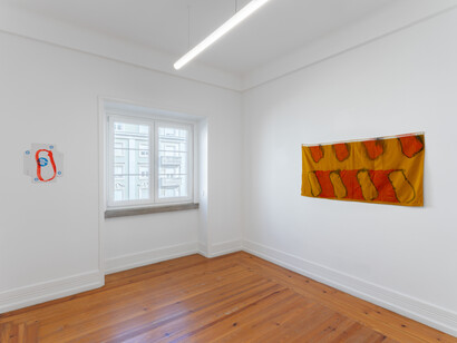 Claude Viallat, Peintures, exhibition view. Courtesy of Document Gallery