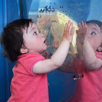 Tot Spot. Courtesy of Bay Area Discovery Museum