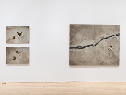 Allan Wexler, Probably true, exhibition view. Courtesy of Jane Lombard Gallery