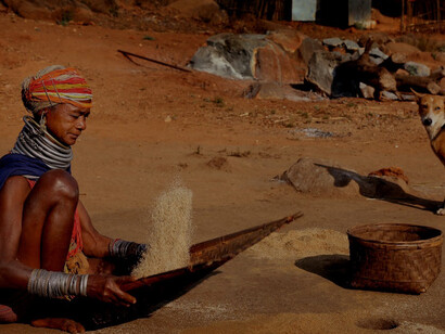 A tribal woman from Jalaput, Odisha, India, gracefully holding a beautifully woven tray, showcasing her craftsmanship and cultural traditions