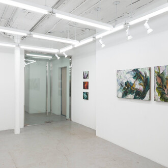 Michele Fletcher, Fooling linnaeus, exhibition view. Courtesy of Nicelle Beauchene Gallery