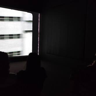Luiz Roque, Urubu, exhibition view. Courtesy of Pinacoteca