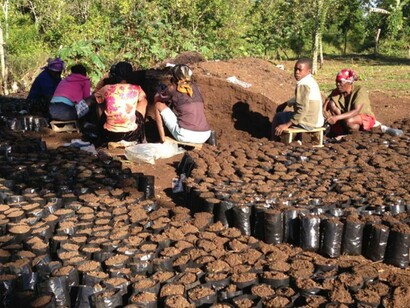 Haitianos tratando de organizarse tras los daños del terremoto