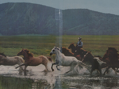 Richard Prince. Courtesy of Los Angeles County Museum of Art (LACMA)