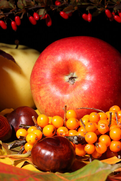 Hippophae rhamnoides, mele e castagne