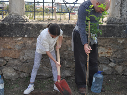 Planting together trees at the Jewish cemetery in Bitola. Credit for the photos: Pierre Lavi - Lavi P. Enterprises LTD.
