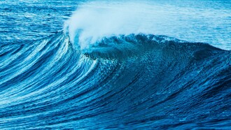The roar of the tides: a powerful ocean wave curls and crashes, its deep blue waters shimmering under the light, reflecting both motion and depth, mirroring the ever-changing currents of thought and emotion