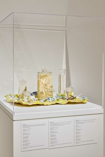 Patty Chang and David Kelley, Beta space, exhibition view. Courtesy of San Jose Museum of Art