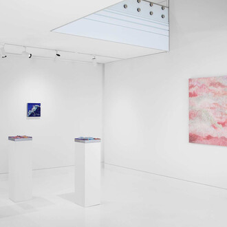 Tia-Thuy Nguyen, Burdening dream, exhibition view. Courtesy of Almine Rech