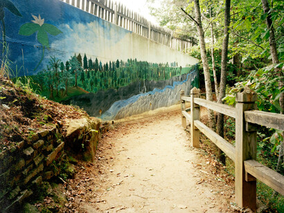 Caitlin Peterson, Tallulah Gorge 04, 2013. Courtesy of Georgia Museum of Art