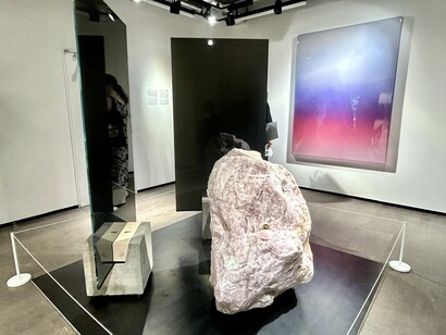 Mika Tajima You Be My Body For Me (Unit 3), 2020, Acquired from Pace Gallery, 2023 © Alma Reyes