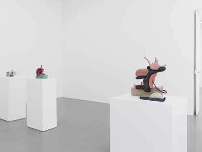 Matthew Ronay, View of the exhibition “Ramus” by Matthew Ronay at Perrotin Paris (March 17 – May 26, 2018). Photo: Claire Dorn / Courtesy Perrotin