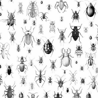 Jasmina Cibic, Fruits of Our Land, 2013 wallpaper (detail)