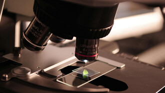 Biotechnologische Experimente werden im Labor durchgeführt