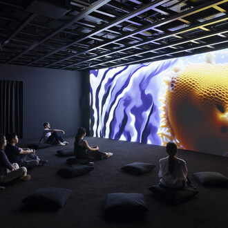Various artists, Data dreams: art and AI, exhibition view. Courtesy of MCA