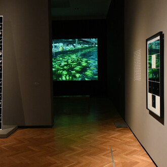 Leandro Katz, The night and the words, exhibition view. Courtesy of Museo Nacional de Bellas Artes
