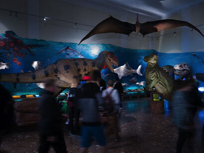 Prehistoric Times and Dinosaurs. Courtesy of Haus der Natur