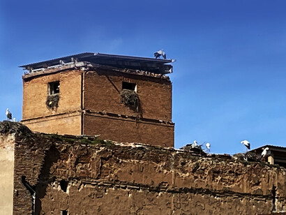 Detalle de las ruinas del Palacio Arzobispal con cigüeñas, Alcalá de Henares, España. Colección Jorge M. González