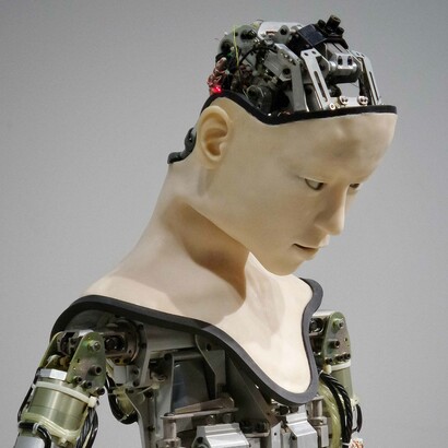 Domestic robot