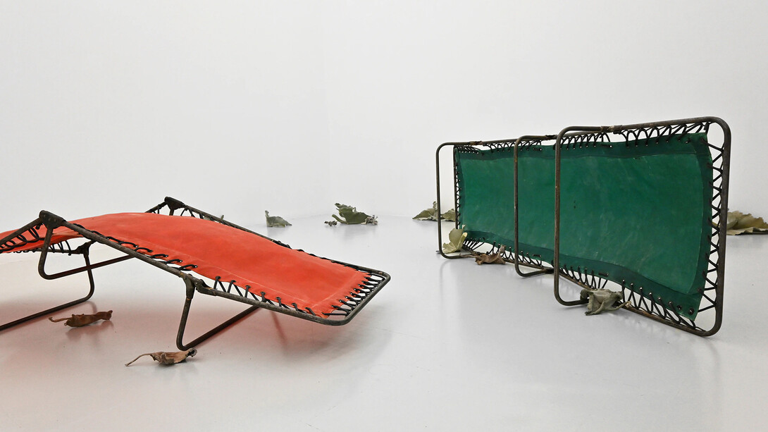 Pablo Capitán del Río, La otra selva, exhibition view. Courtesy of Art Nueve