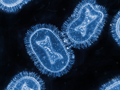 The monkeypox virus under a microscope