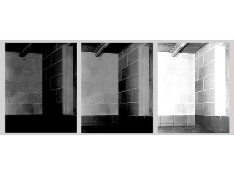 Jonathan Calm, "Jaguar Chamber", 2013 archival pigment print 20 x 96 inches Edition of 5. Courtesy of LMAKprojects, NY