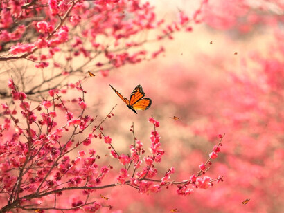 I colori della primavera
