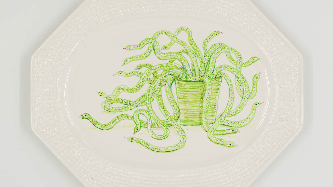 Debra Broz, Green snake plant, 2024. Courtesy of Track 16 Gallery