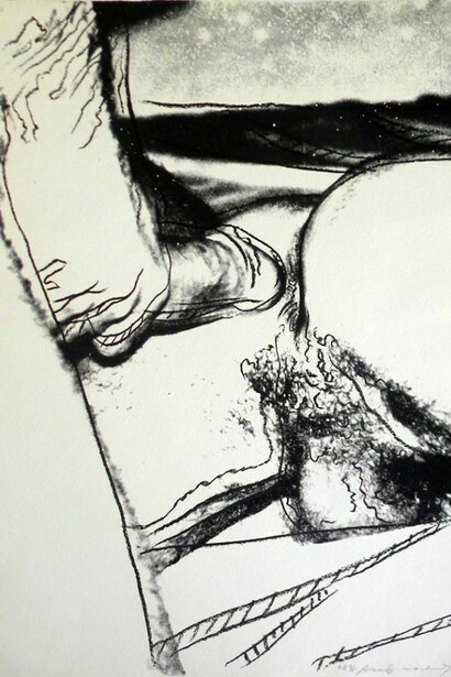 Andy Warhol. Sex Part´s picture