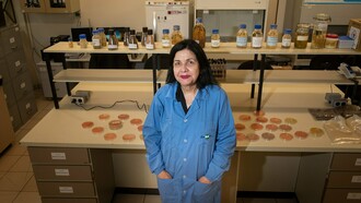A pesquisadora e doutora Mariangela Hungria, referência mundial em microbiologia agrícola e vencedora do Prêmio Mundial da Alimentação de 2025, com jaleco da Embrapa em um laboratório. Suas pesquisas com bioinsumos ajudam a aumentar a produtividade das lavouras e a reduzir os impactos ambientais da agricultura. Ela dedica sua carreira ao estudo dos microrganismos do solo e ao desenvolvimento de tecnologias que fortalecem uma agricultura mais sustentável e eficiente. Reconhecida internacionalmente, Mariangela Hungria transformou décadas de pesquisa em soluções biológicas que reduzem a dependência de fertilizantes químicos e contribuem para a segurança alimentar. Mariangela Hungria recebeu reconhecimento internacional por pesquisas que unem inovação, sustentabilidade e produtividade agrícola, consolidando o Brasil como referência no uso de bioinsumos
