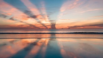 L’aura è un campo energetico che circonda ogni essere vivente e riflette il suo stato fisico, emotivo, mentale e spirituale