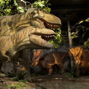 Canadian Museum of Nature